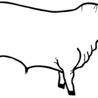 COW001 Thumbnail